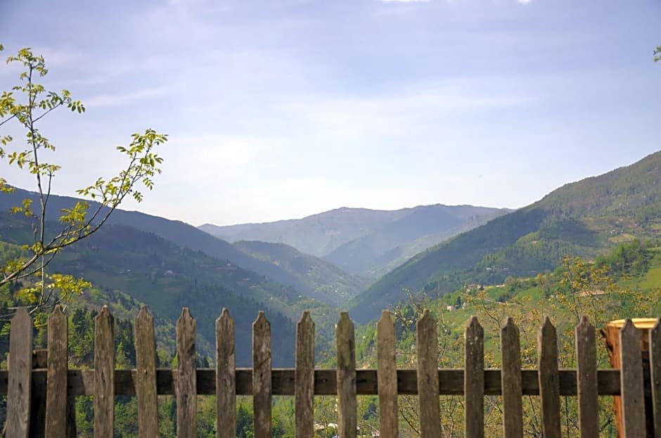 Батуми: TJ Hostel