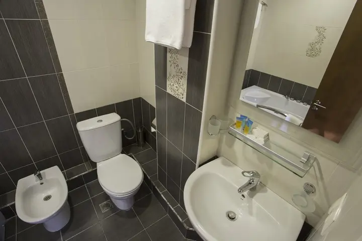 Ереван: Отель Ani Central Inn