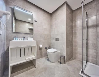 Тбилиси: Gallery Palace Hotel Mimino