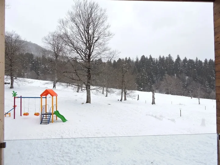 Бакуриани: Valley Bakuriani