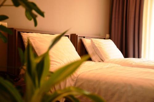 Тбилиси: PM Palace Hotel