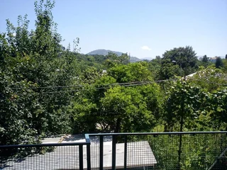 Батуми: Bagrationi's House