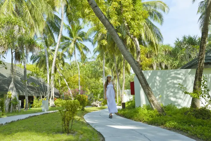 Диффуши: Holiday Island Resort & Spa