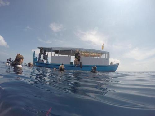 Атолл Нууну: Island Host