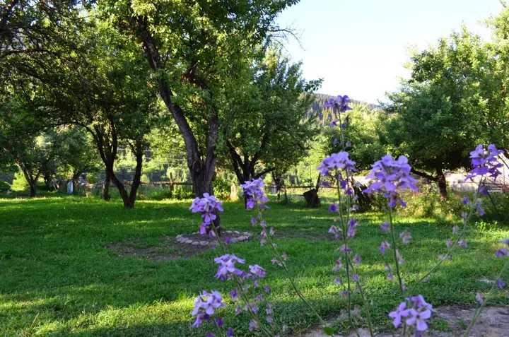 Местиа: Отель Garden House