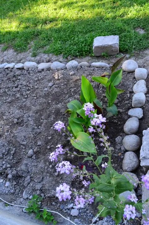 Местиа: Отель Garden House