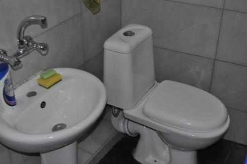 Мцхета: Guesthouse Dariali