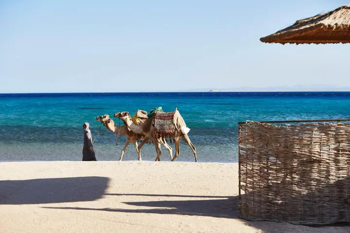 Хургада: Отель Kempinski Hotel Soma Bay