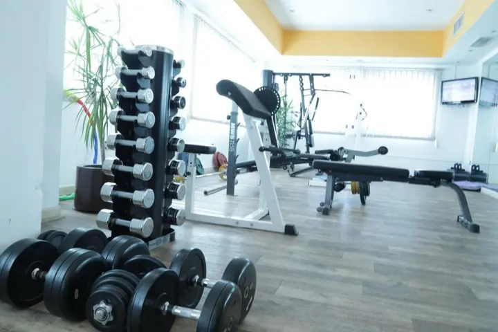 Дубай: Отель The Park Hotel Formerly Al Jawhara Gardens