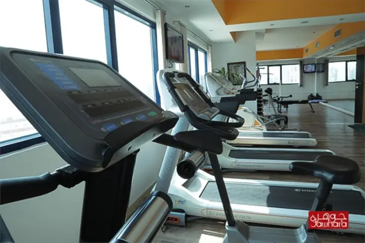 Дубай: Отель The Park Hotel Formerly Al Jawhara Gardens