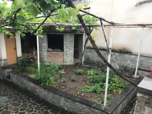 Тбилиси: Tami's Cozy Home