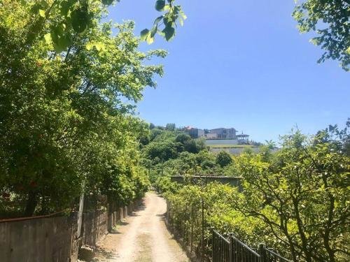 Батуми: 15 Kviparosi Guest House