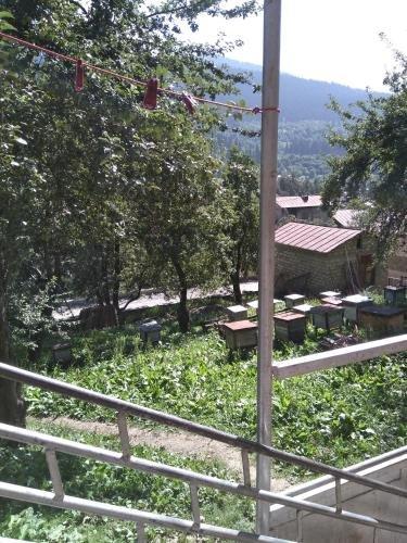 Местиа: Svanchiko Guest House