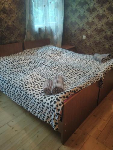Местиа: Svanchiko Guest House