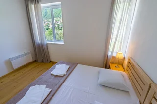 Местиа: Апартаменты Svaneti