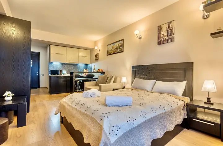 Апартаменты Studio Apartment NFT New Gudauri 216 — фото 3