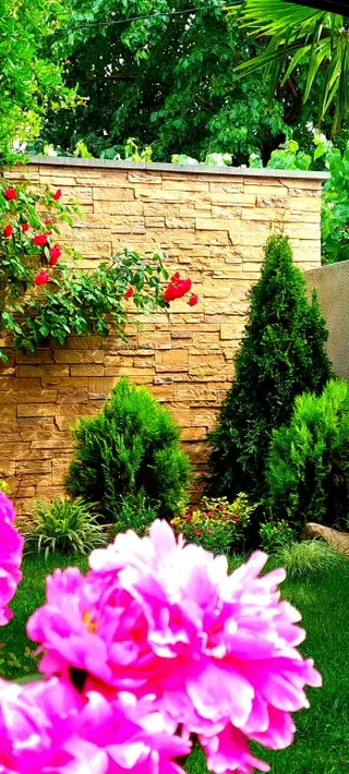 Тбилиси: Апартаменты Green Garden