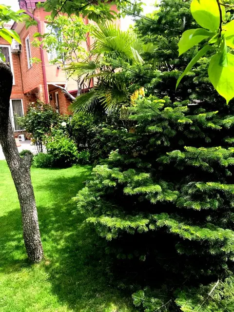 Тбилиси: Апартаменты Green Garden