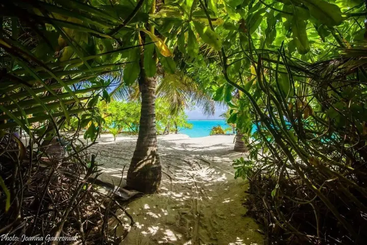 Тодду Атолл: Thoddoo Beach View by Vista