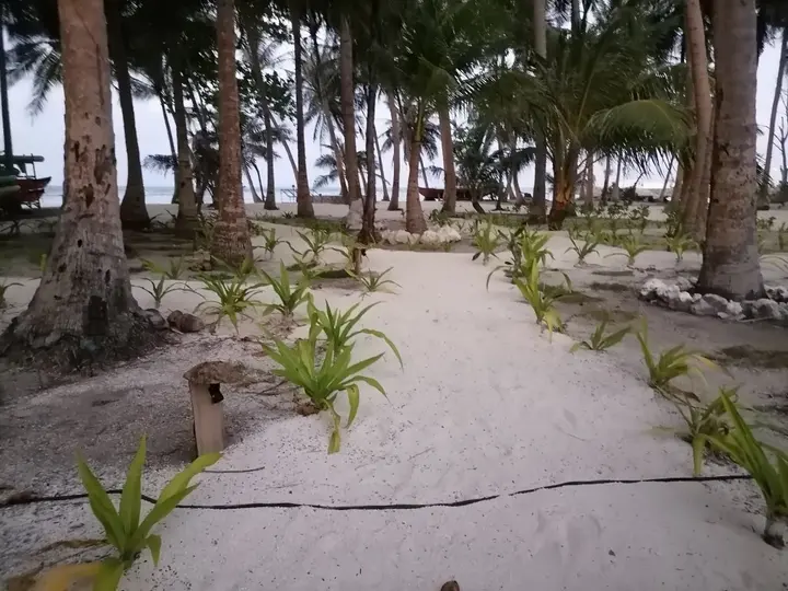 Атолл Баа: Island Luxury Boutique Hotel, Fulhadhoo