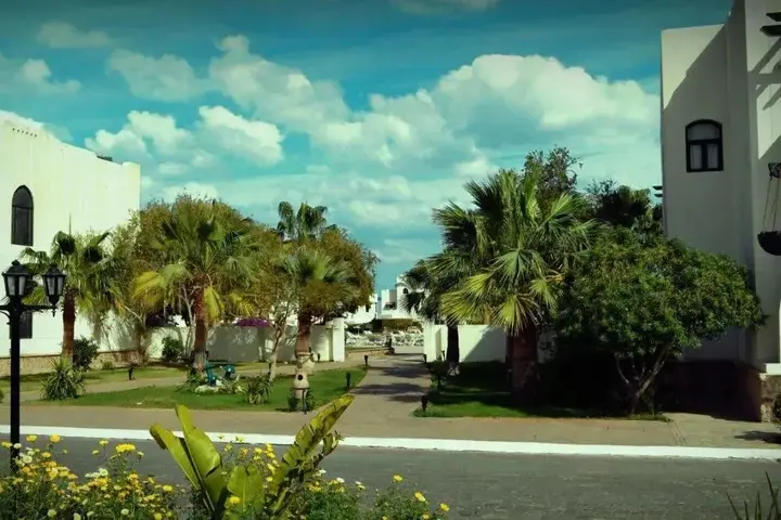 Шарм-эш-Шейх (Шарм-эль-Шейх): Poinciana Sharm Resort  Apartments