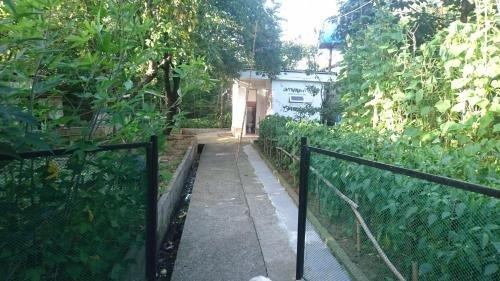 Батуми: Guest House
