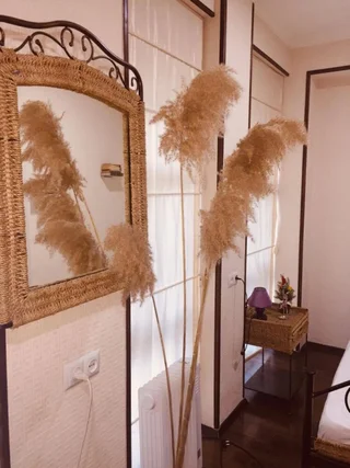 Тбилиси: Homestay Izolda