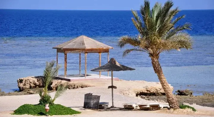 Марса Алам: Shoni Bay Resort