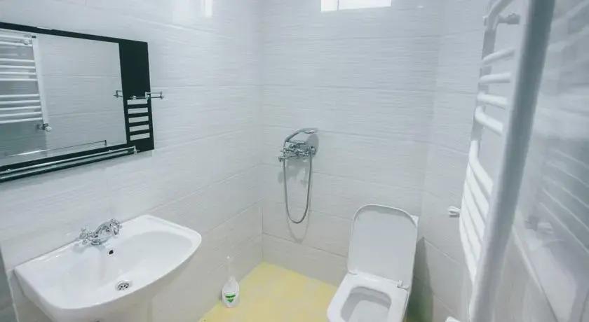 Бакуриани: Hotel Daviti