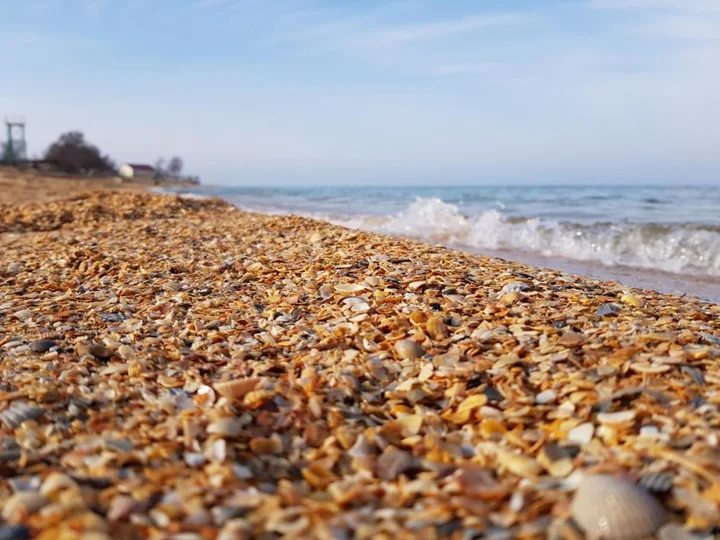 Голубицкая: AL Mare
