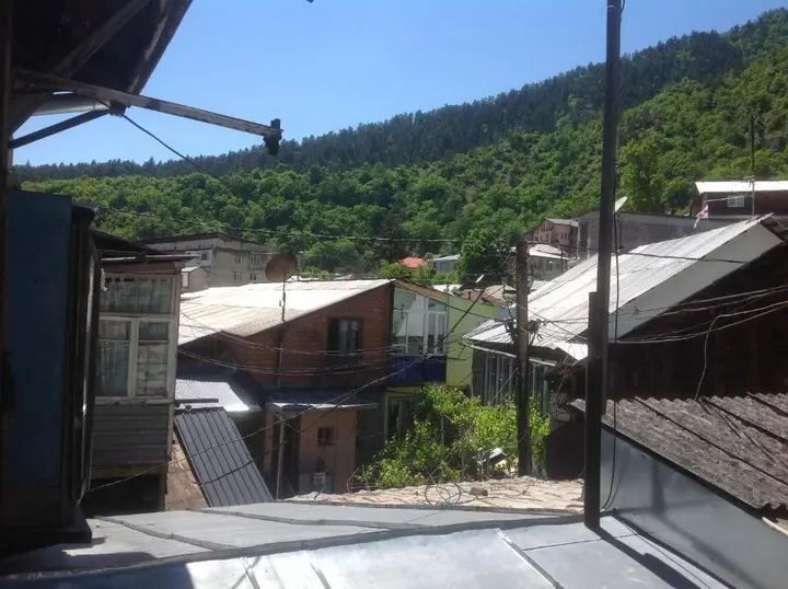 Боржоми: Guest House Inga