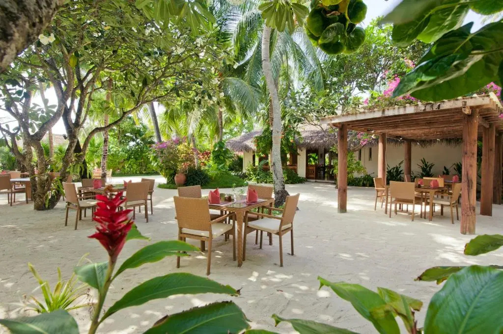 Атолл Алиф-Алиф: Kuramathi Maldives
