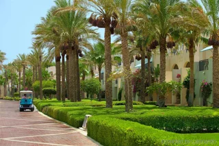 Шарм-эш-Шейх (Шарм-эль-Шейх): Grand Rotana Hotel Resort and Spa