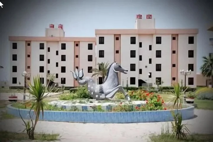 Рас-Эль-Бар: Ras El Bar Apartments Armed Forces