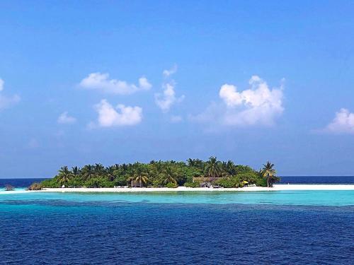 Атолл Алиф-Дхаалу: Sundive Lodge Maldives