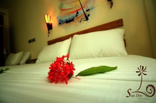 Атолл Алиф-Дхаалу: Sundive Lodge Maldives