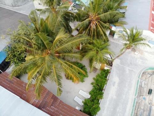 Атолл Алиф-Дхаалу: Sundive Lodge Maldives