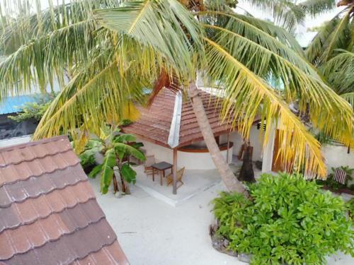 Атолл Алиф-Дхаалу: Sundive Lodge Maldives
