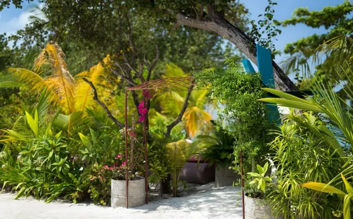 Атолл Баа: Tropical Village