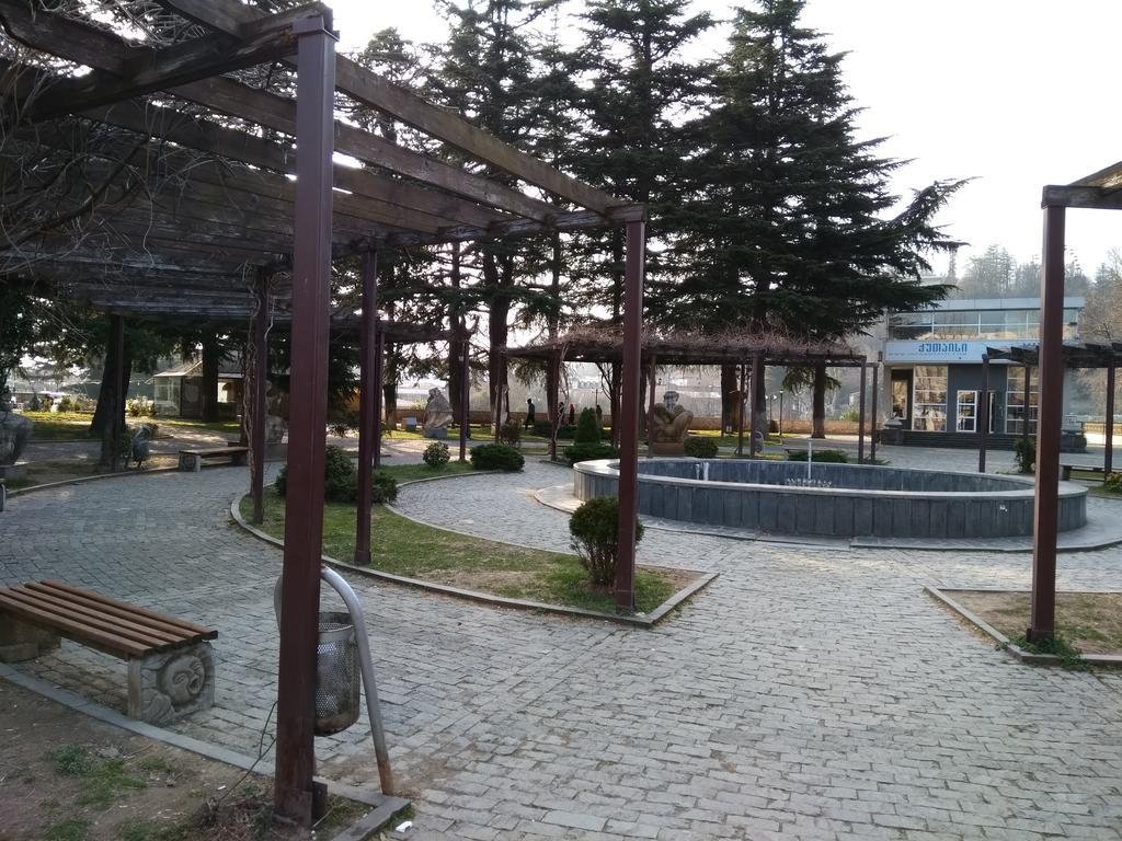 Кутаиси: Hotel Mkudro