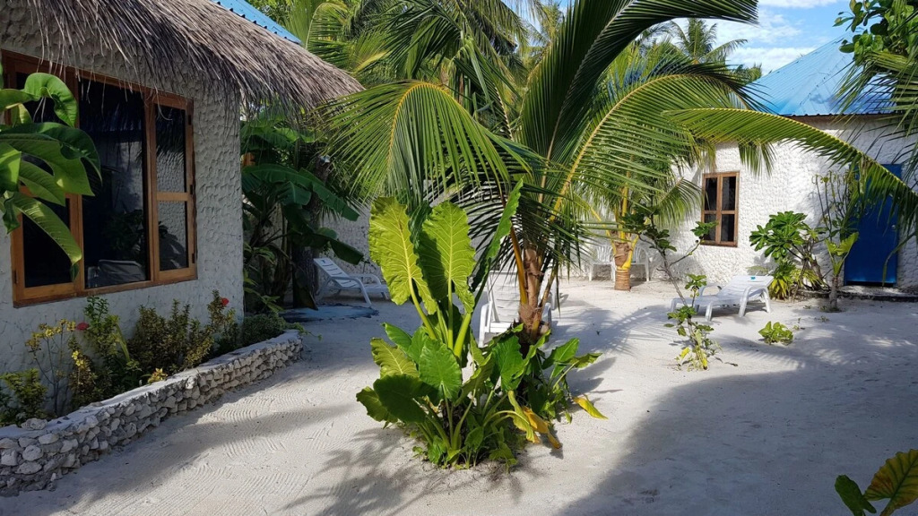 Дхаравандхоо: Blue World Dharavandhoo