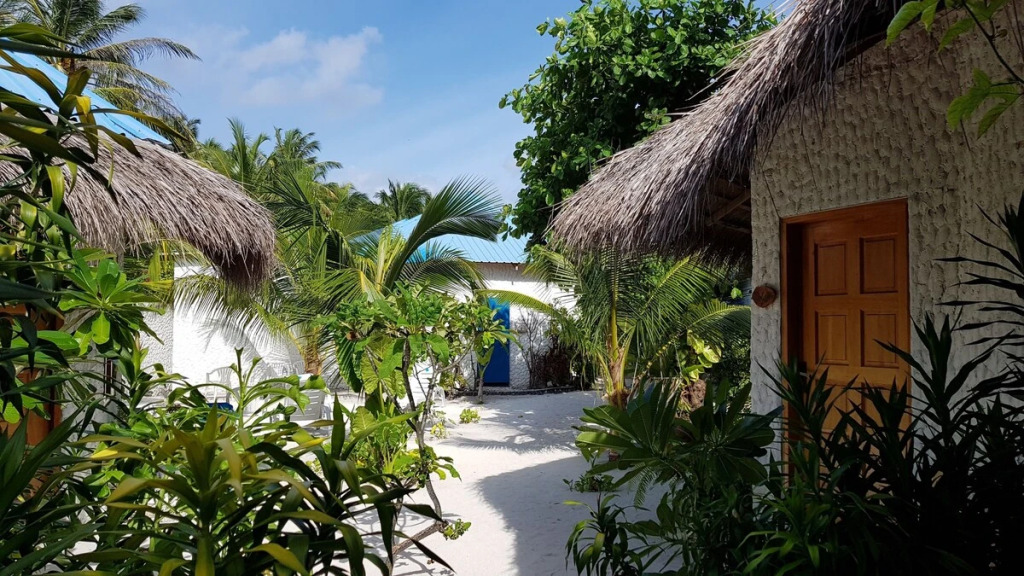 Дхаравандхоо: Blue World Dharavandhoo