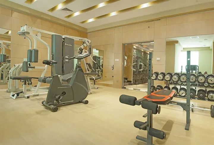 Дубай: Boutique 7 Hotel and Suites