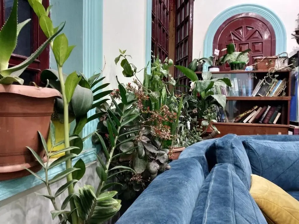 Баку: Flora Hostel