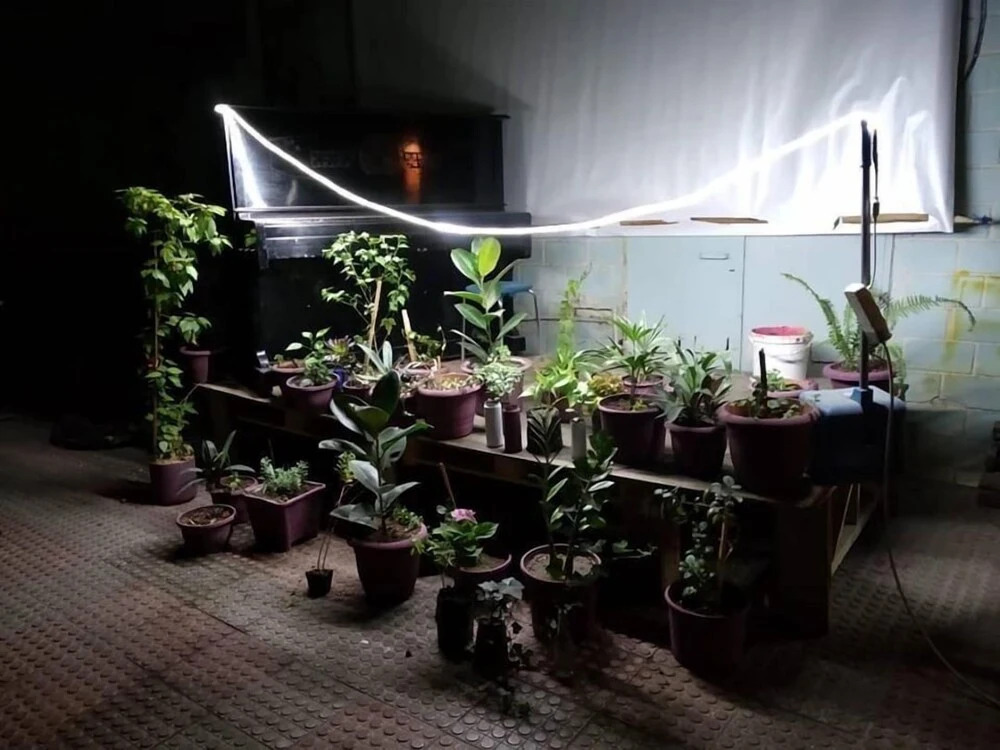 Баку: Flora Hostel