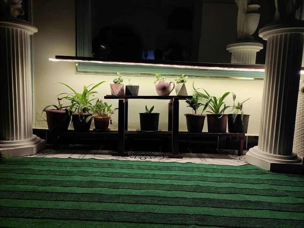 Баку: Flora Hostel