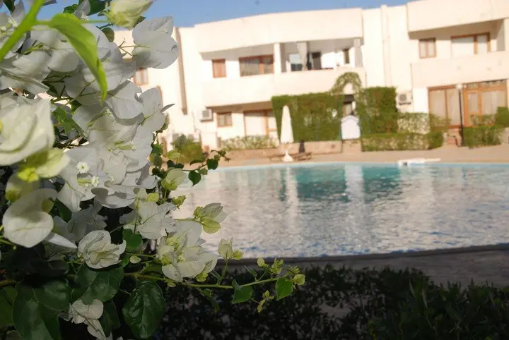 Шарм-эш-Шейх (Шарм-эль-Шейх): Criss Haya Apartments