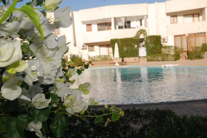 Шарм-эш-Шейх (Шарм-эль-Шейх): Criss Haya Apartments