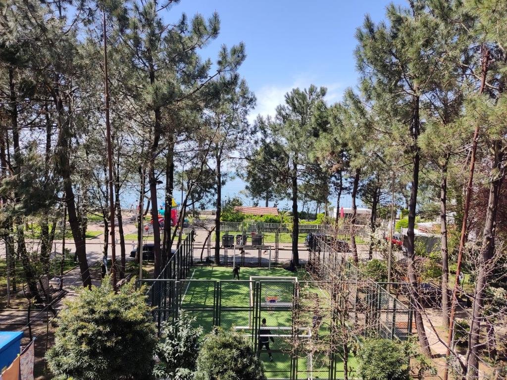 Кобулети: Apartment Agmashenebeli 99