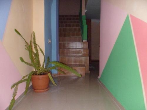 Батуми: Hostel Everyday Lux